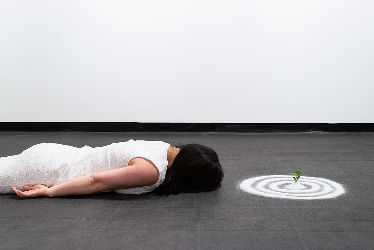 Chun Hua Catherine Dong used salt to build circles around a Gardenia twig, laying on the floor and keep still for three hours.