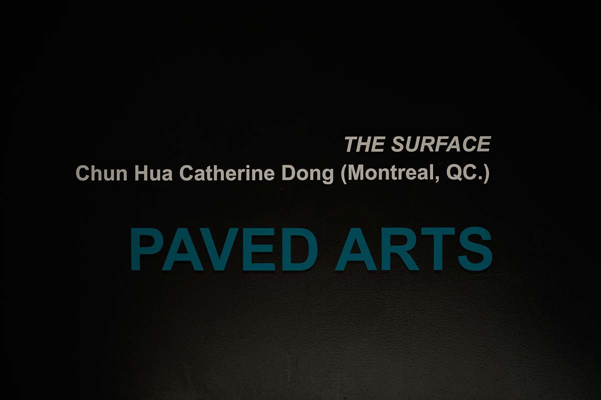 Chun Hua Catherine Dong's solo exhibition at Paved Arts, this exhibition includes two works: "Husbands and I"and " Red Baby"