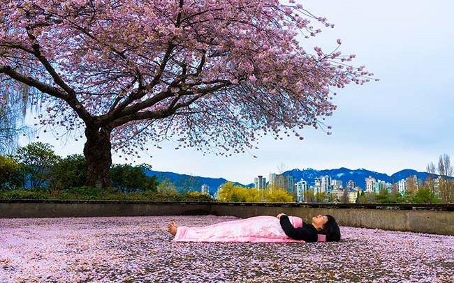 Chun Hua Catherine Dong buries herself at historical sites and tourist attraction in Vancouver