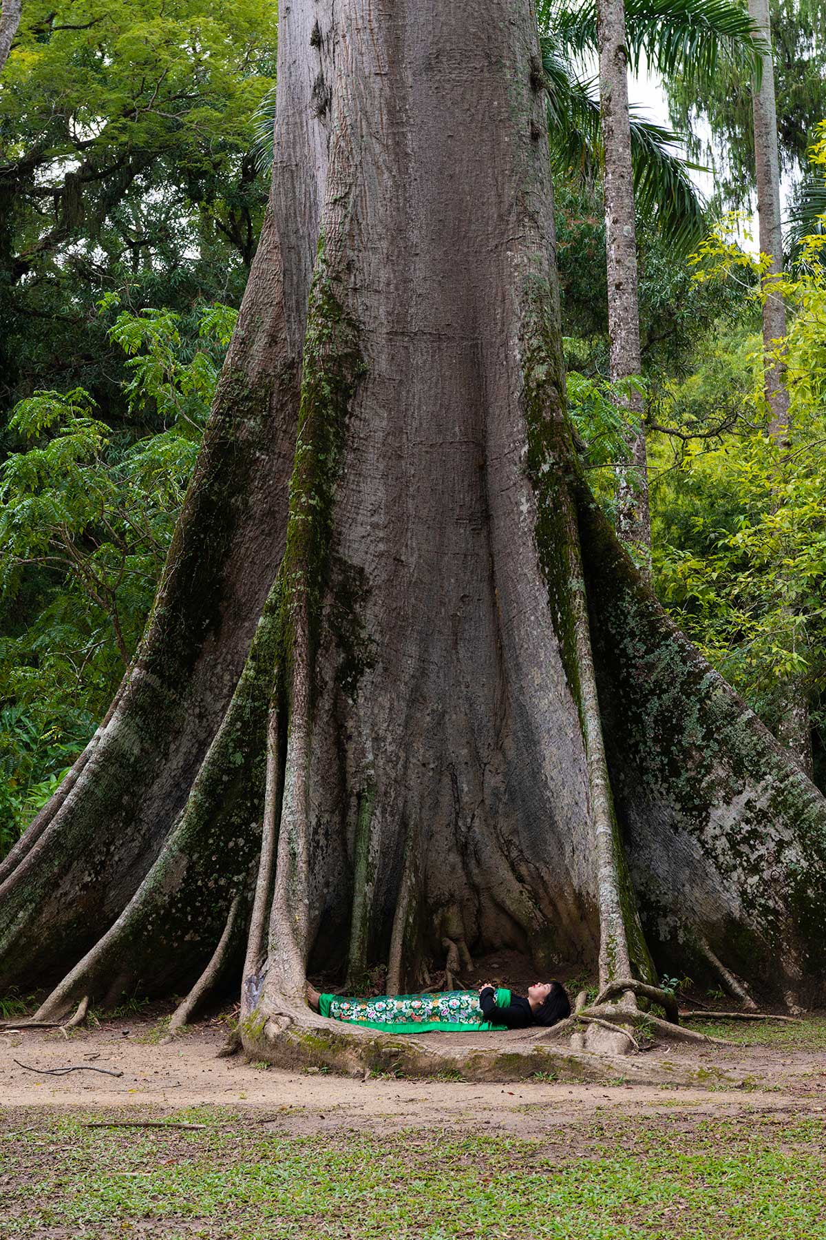 Chun Hua Catherine Dong is hugged by a big tree in Rio de Janeiro