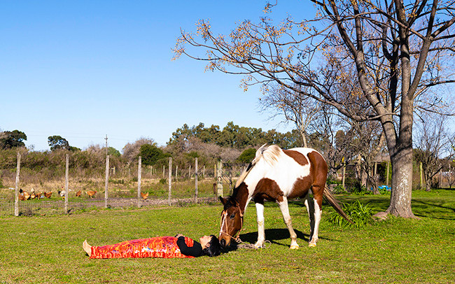 Chun Hua Catherine Dong was kissed by a horse in Colonia del Sacramento, Uruguay