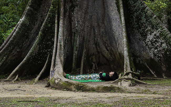 Chun Hua Catherine Dong is at Jardim Botânico do Rio de Janeiro