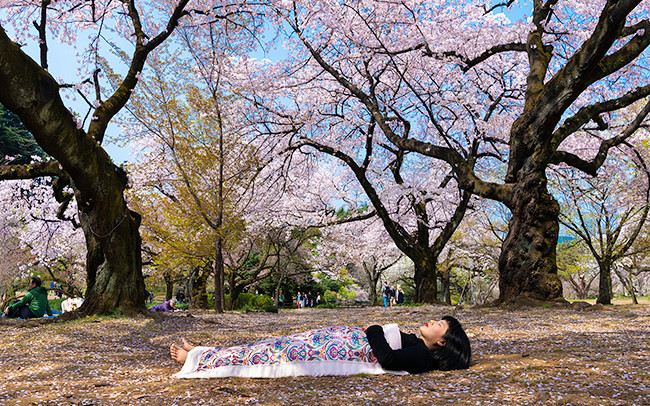 Chun Hua Catherine Dong performs death ritual under cherry blossoms in Tokyo