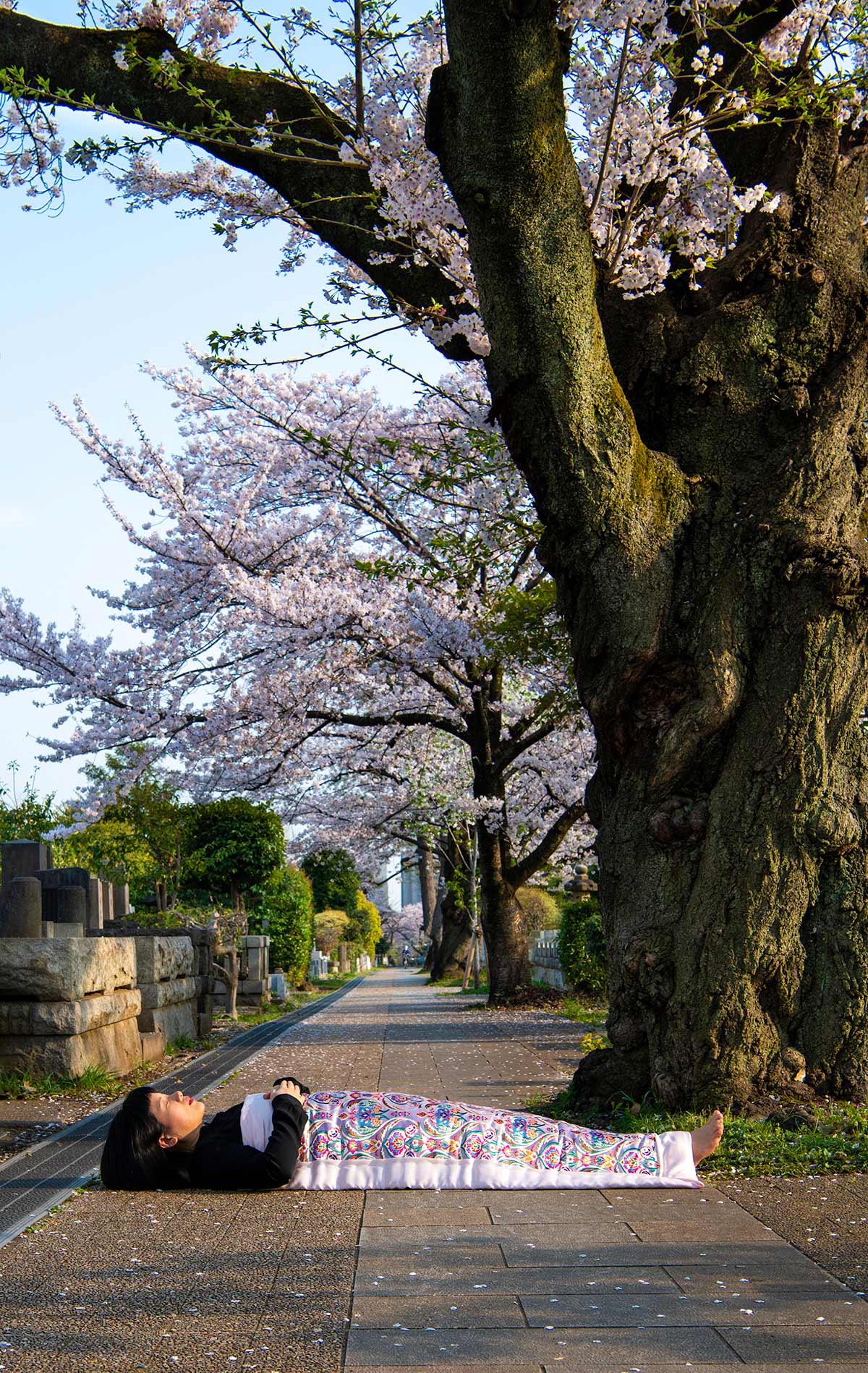 Chun Hua Catherine Dong performs death ritual under cherry blossoms in Tokyo