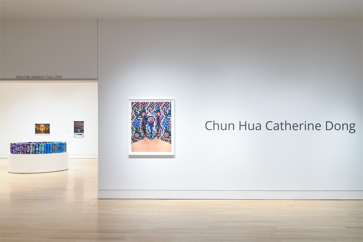 Chun Hua Catherine Dong's solo exhibition at Art Gallery of Hamilton