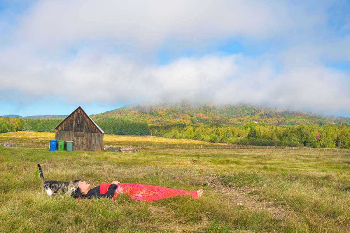 a girl is covered by a red blanket and lies in a field with a cat