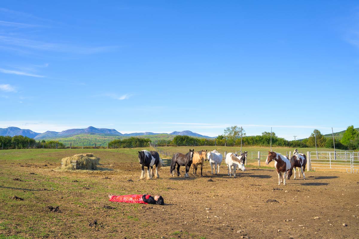 a girl is covered by a red blanket and lies in a farm with horses