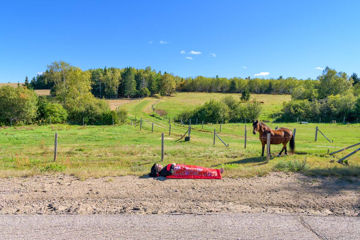 a girl is covered by a red blanket and lies beside a horse