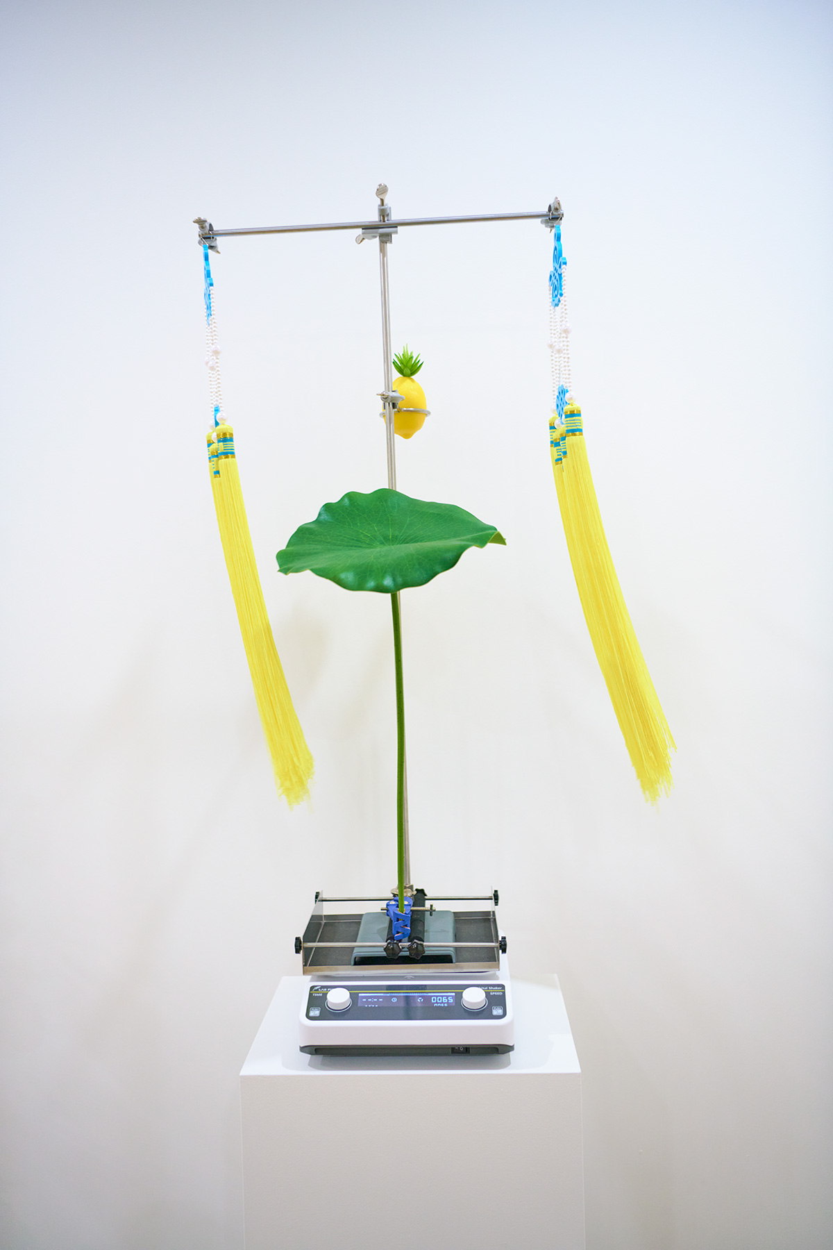 a lotus leave, a lemon, and two Beijing opera headpieces on a lab shaker